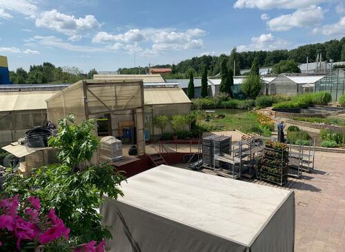 Питомник растений для киносъёмок